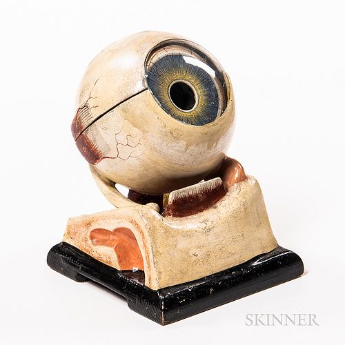Early Plaster and Glass Anatomical Model of an Eye, five-part hand-painted model with labels, ht. 7 in.