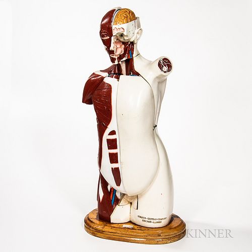 Denoyer Geppert Co. Anatomical Model, Chicago, Illinois, last quarter 20th century, multi-torso rubber model with removable chest, moun