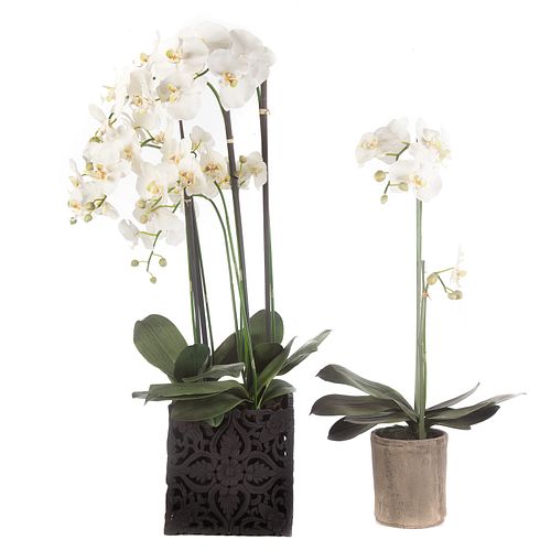 Two Potted Faux Orchids in Planters