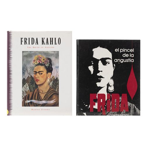 LIBROS SOBRE FRIDA KAHLO. Frida Kahlo: the brush of anguish / El Pincel de la  Angustia... Piezas: 2