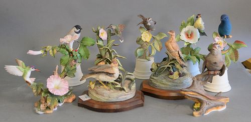 Group of nine porcelain birds, Boehm hummingbird and morning glory, two Cybis birds on wooden stands, Boehm sparrows, and five Boehm birds with flower