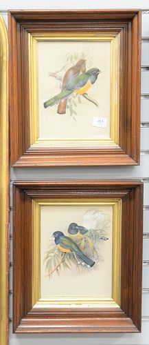 Group of four prints, two floral prints and two prints with birds in walnut frames, 10" x 7 1/2" (largest). Provenance: The Vincent Family Collection,