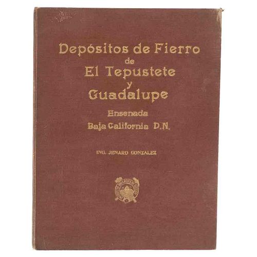 González, Jenaro. Depósitos de Fierro de "El Tepustete" y "Guadalupe" Municipio de Ensenada... México,1938. Mecanografiado. Firmado.