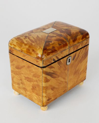 English Regency Tortoiseshell Double Compartment Tea Caddy, Early 19th c.