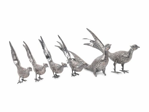 A Group of Six Spanish Silver Pheasants