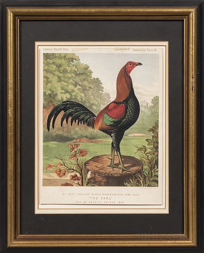 Three Prints of Prize-winning Birds from Cassell's Poultry Book:, Pair of Houdans, "Young Champion" and "Lady," Black-breasted Red Game