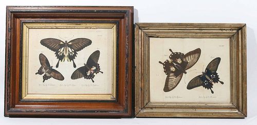 Two Color Bookplate Engravings of Butterflies