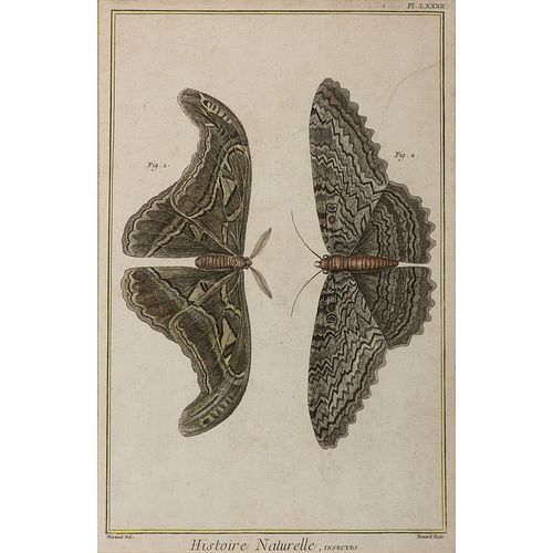 Four Animal Hand-Colored Engravings, Including by Martinet