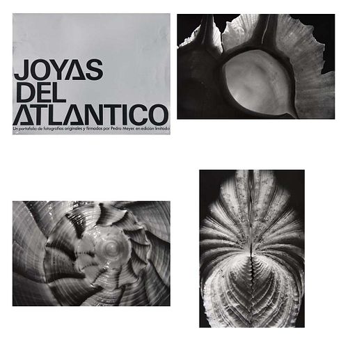 PEDRO MEYER, Joyas del Atlántico, Signed, Gelatin silver print 70 / 230, 5.7 x 8.5" (14.6 x 21.6 cm) each, Pieces: 6