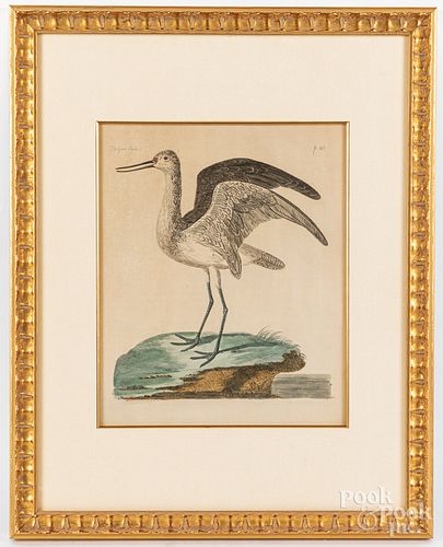 Two bird engravings, after Peter Paillou