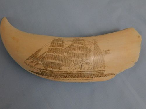 SCRIMSHAW TOOTH W/WHALE SHIP
