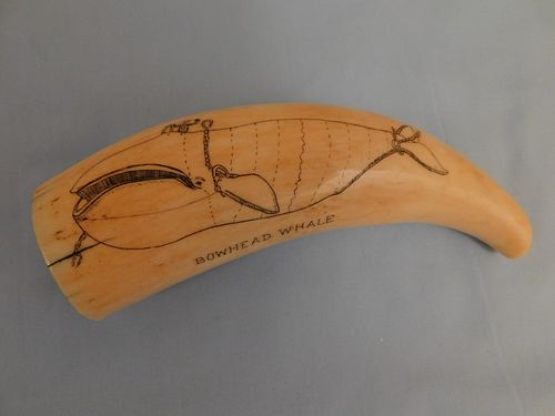 SCRIMSHAW WHALES TOOTH