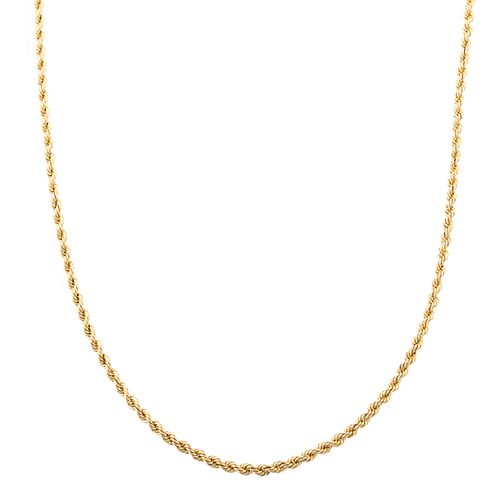 A Long Twisted Rope Link Chain in 14K Yellow Gold