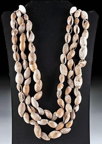 Native American Chumash Olivella Shell Bead Necklaces