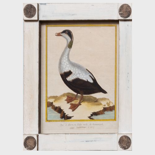 FranÃ§ois Nicolas Martinet (1731-1804): Ornithological Prints: Four Plates