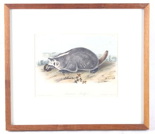 Bowen Lithograph American Badger by Audubon