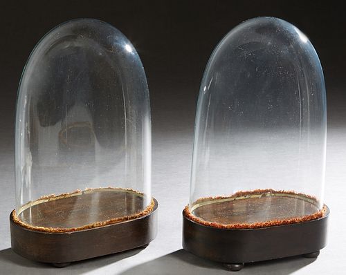 Pair of Oblong Blown Glass Domes, 19th c., on oval ebonized bases on disc feet, H.- 14 in., W.- 8 3/4 in., D.- 5 1/4 in., Int. H.- 11 1/2 in., Int. W.