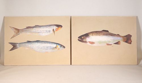 Nicholas Wegner, Oil on Canvas, "Mullet"&"Trout"