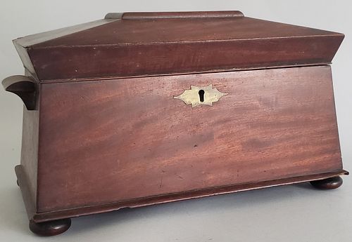 19th Century Mahogany Double Compartment Tea Caddy
