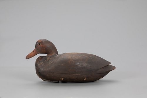 The Surace Cobb Black Duck Decoy, Nathan F. Cobb Jr. (1825-1905)