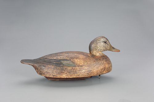 Rare Oversized Black Duck Decoy, Benjamin Schmidt (1884-1968)