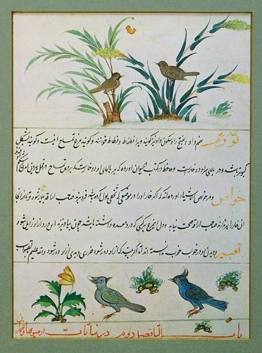 Indian Company School Islamic Manuscript Page