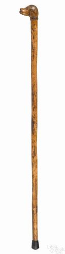 Carved walking stick, ca. 1900, with a hound head grip and collar, inscribed W.R. Bertolet