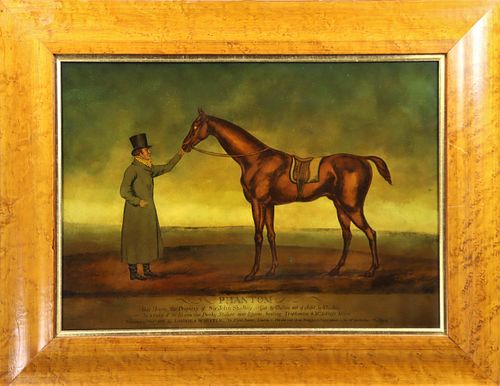 English Equestrian Hand Colored Print