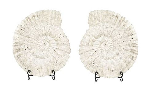 Pair of Stone Nautilus Shell Cast Relief