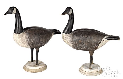 Pair of carved and painted Canada field decoys