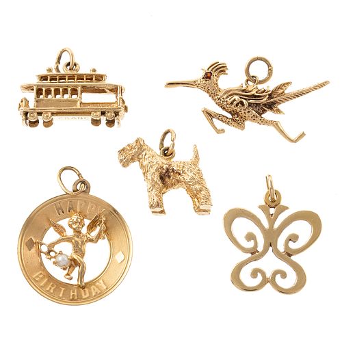 Five Charms in 14K Yellow Gold