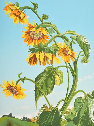 Sondra Freckelton "Sunflowers" Lithograph, Signed Ed.
