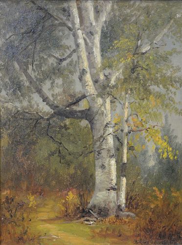 Benjamin Champney (American, 1817 - 1907)
"Springtime Birch"
oil on canvas
signed lower right: B. Champney
relined
12 1/2" x 9 1/2"
