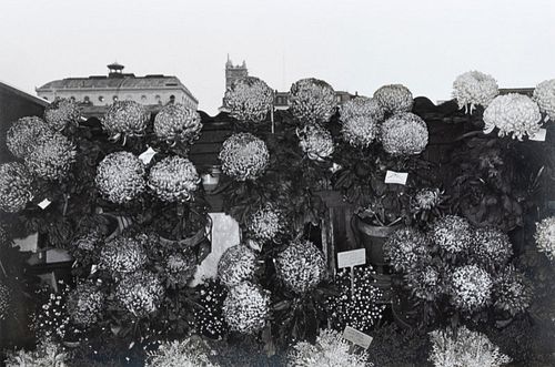 Lee Friedlander(American, b. 1934)Photographs of Flowers, 1974