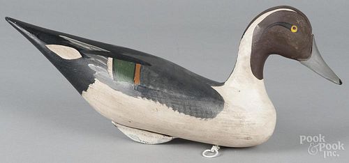 Contemporary carved and painted pintail duck decoy, 18'' l.