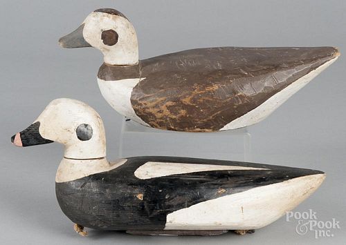 Pair of Maine carved and painted golden-eye duck decoys, 20th c., 14 1/2'' l.