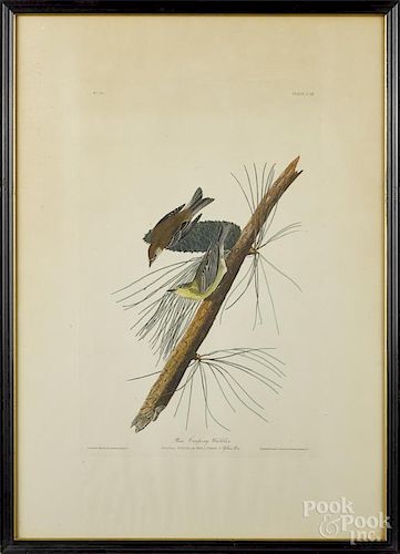 After J. J. Audubon, hand colored aquatint by R. Havell, titled Pine Creeping Warbler Plate CXI