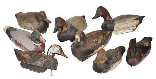 Eight Carved and Painted Working Duck Decoys