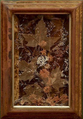FRENCH VELVET SHADOW BOX WITH DRIED LEAVES AND WILD FLOWERS