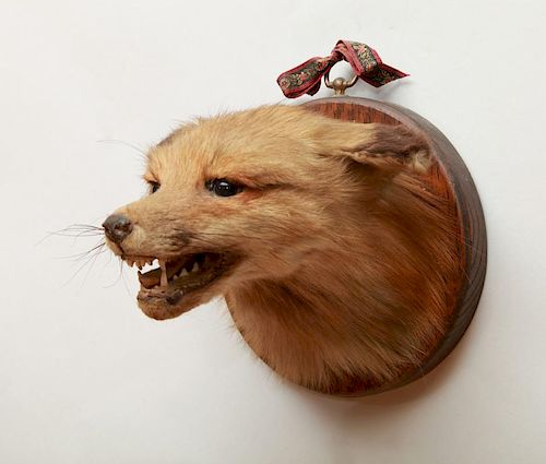FOX HEAD TROPHY
