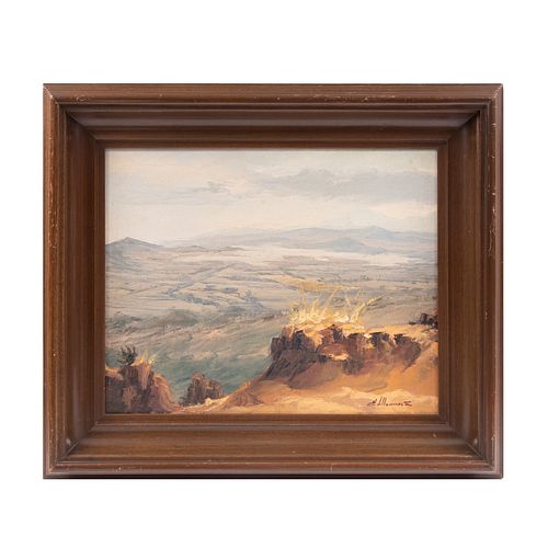 E. Márquez. Vista de valle. Firmado. óleo sobre tela. Enmarcada. 37 x 46 cm