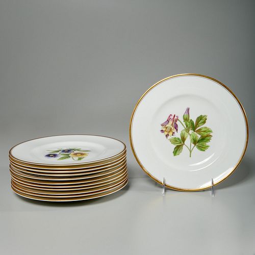 Set (12) Royal Worcester Williamson floral plates