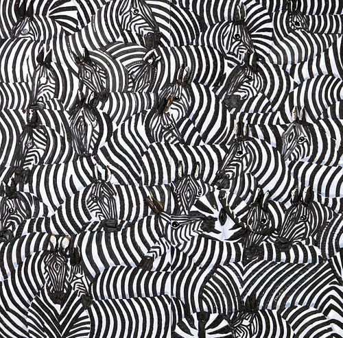 Zebras (2)
