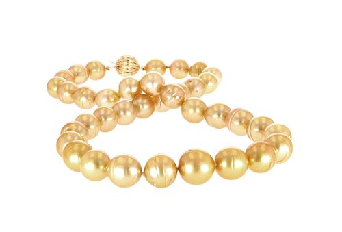 Golden South Sea Pearl 14K Gold Necklace