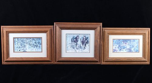 Set of Bev Doolittle Western Framed Prints