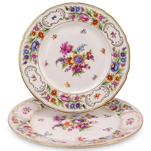 (2 Pc) Dresden Porcelain Plates