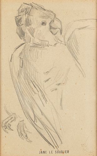 Jane Le Soudier (Le Mans 1885-Limeil-BrÃ©vannes 1973)  - Three drawings depicting birds: a parrot, a swan and a duck