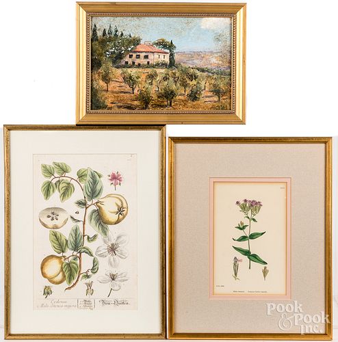 Two botanical prints, etc.