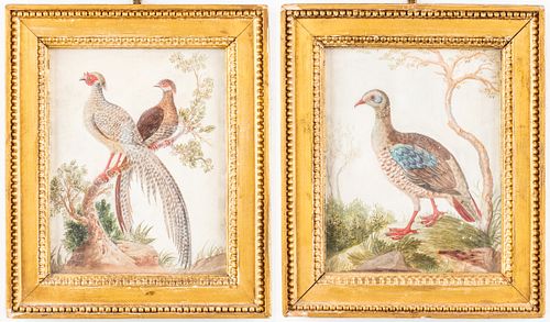 Chinese Export Watercolors of Birds in Relief, Pr