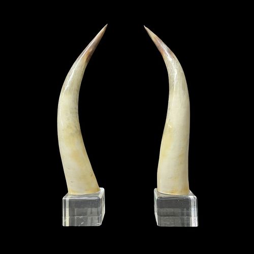 Modern Horns Mounted On Lucite